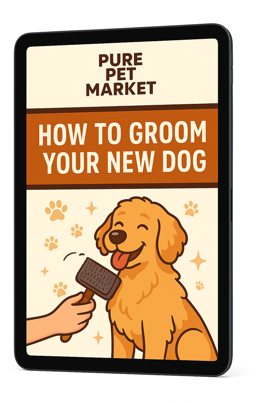 How to Groom Your New Dog
